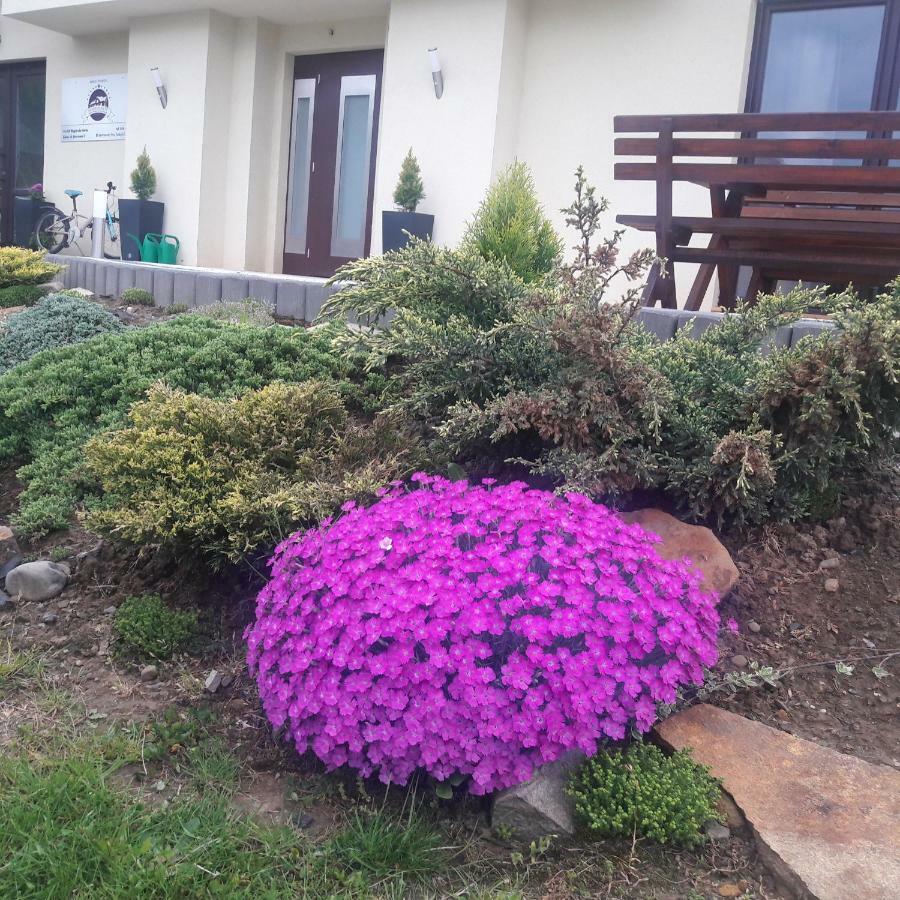 Apartamenty Przy Trakcie Cesarskim Wegierska Gorka Exterior photo
